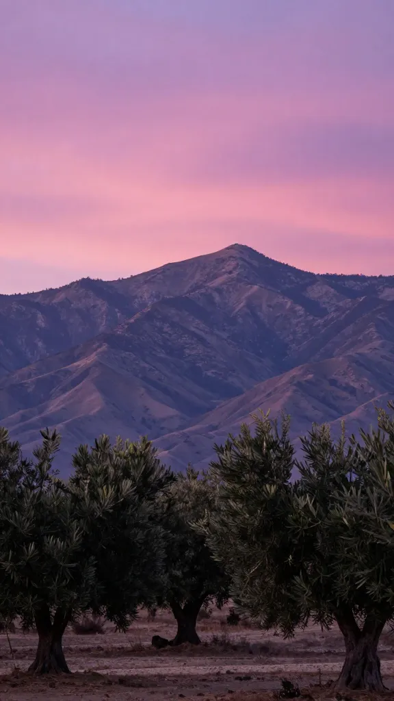Closeup of artisan sourdough loaf on baker's counter