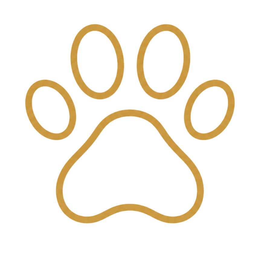 Chic Gold Paw Print Art: Luxe, minimal, and pet-friendly with crisp ovals&mdash;perfect for modern decor. Save this idea so you can come back to it later.