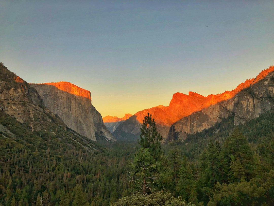 Warm evening light on granite cliffs above the forested Yosemite Valley at Tunnel View.