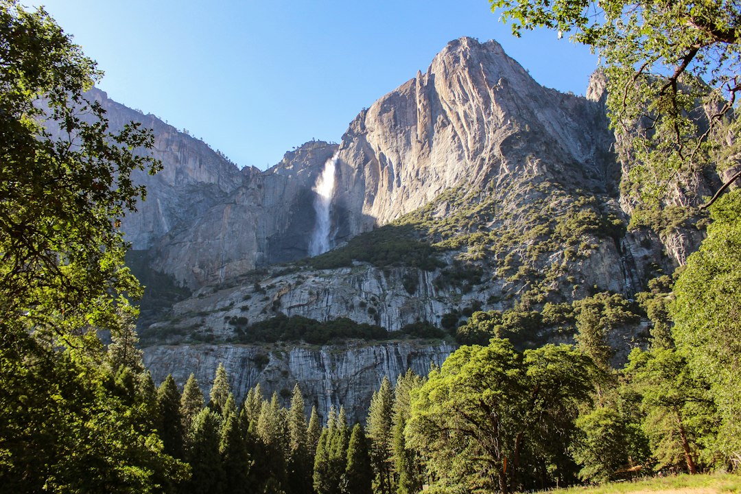 Yosemite Falls flowing down a granite cliff above green trees in Yosemite Valley.